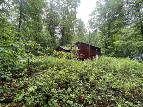 9720 N Fawn, Mancelona, MI 49659