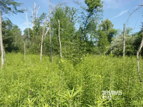 0 W Conners, Twining, MI 48766 photo 9