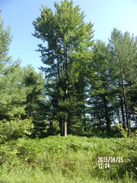 0 W Conners, Twining, MI 48766 photo 4