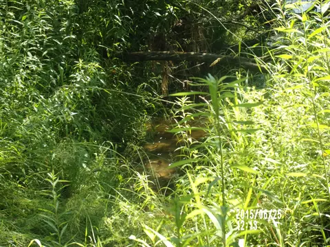 0 W Conners, Twining, MI 48766 photo 8