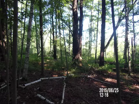 0 W Conners, Twining, MI 48766 photo 10