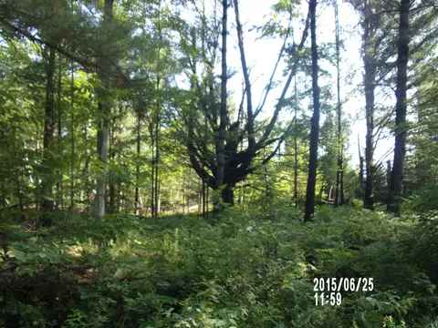 0 W Conners, Twining, MI 48766