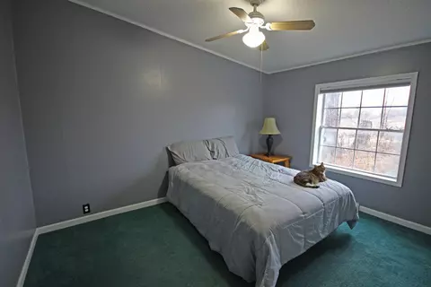 1617 Compton Ct, Grawn, MI 49637 photo 31
