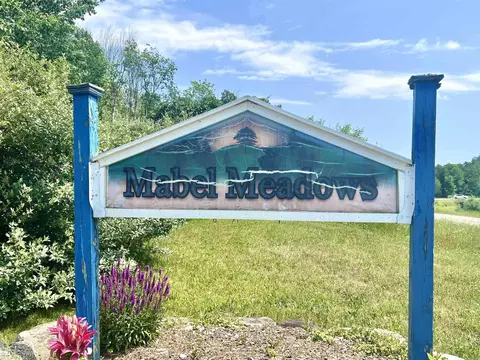 unit 19 cushman LOT : 19, Williamsburg, MI 49690