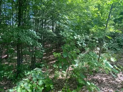0 E Leelanau Hls #LOT : 19, Traverse City, MI 49684