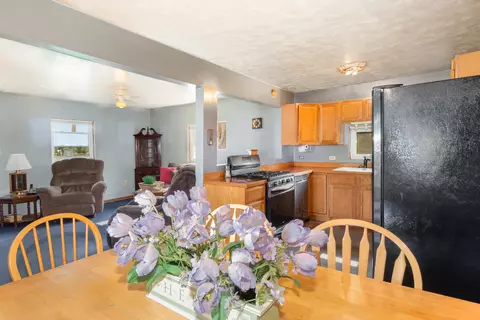 406 W Main, Maple Rapids, MI 48853 photo 5