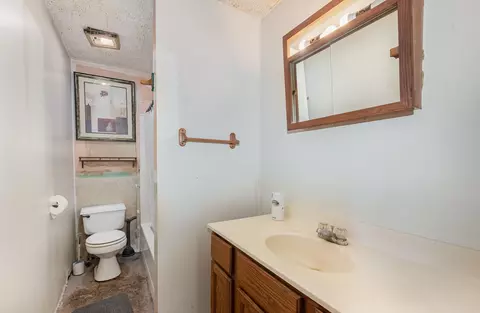 406 W Main, Maple Rapids, MI 48853 photo 8
