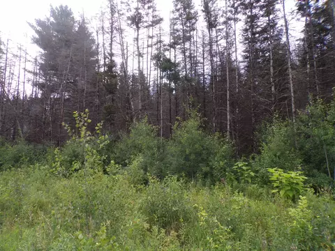 00 W Sanborn Rd, Lake City, MI 49651
