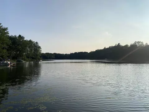 8446 Main, Curran, MI 48728 photo 5