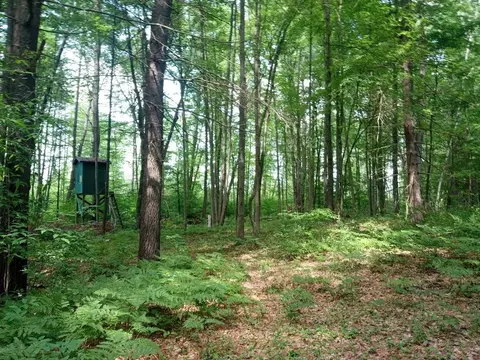M-65, Twining, MI 48766 photo 7