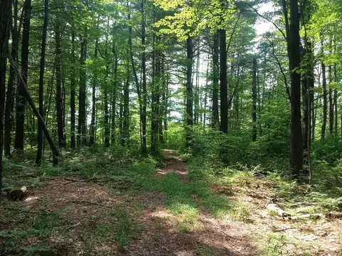 M-65, Twining, MI 48766 photo 9