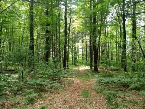 M-65, Twining, MI 48766 photo 8