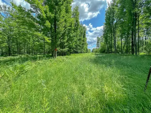 10825 N East County Line, Coleman, MI 48618