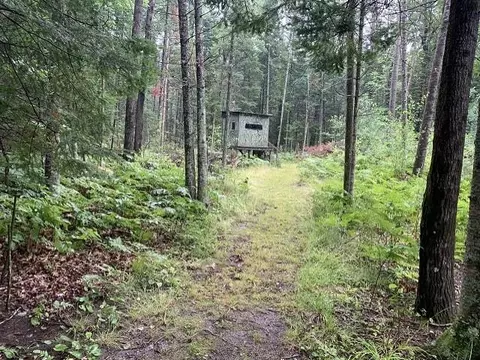 0 Bass Lake, Lupton, MI 48635