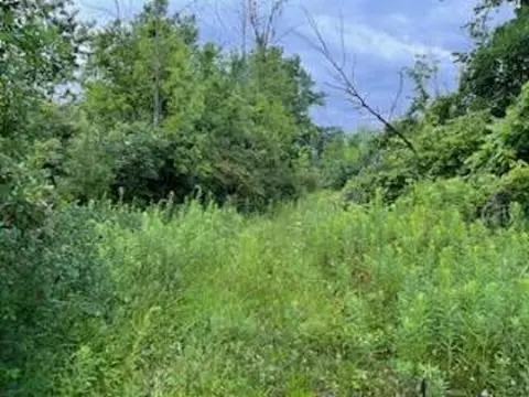 N/a Tonkey, Au Gres, MI 48703 photo 2