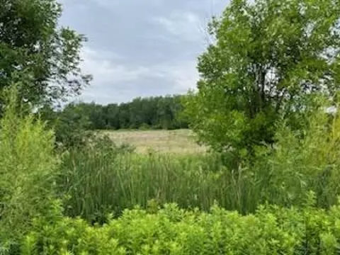 N/a Tonkey, Au Gres, MI 48703 photo 6