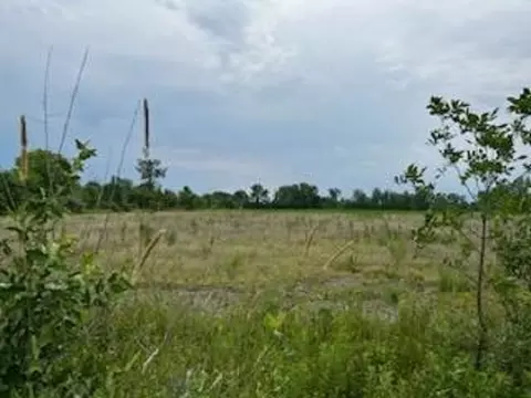 N/a Tonkey, Au Gres, MI 48703
