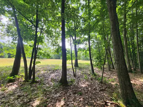Nhn W Cedar Lake, Greenbush, MI 48738