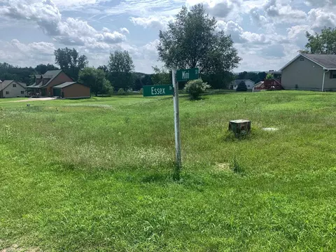 1000 Mini, Lake Isabella, MI 48893