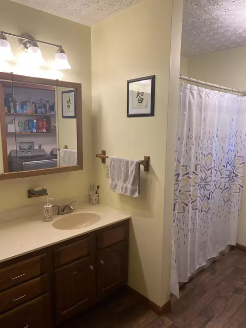 402 N St Johns, Ithaca, MI 48847 photo 9