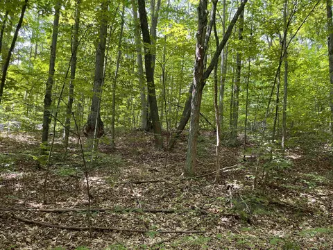 Vl Heideldorf, Bellaire, MI 49615