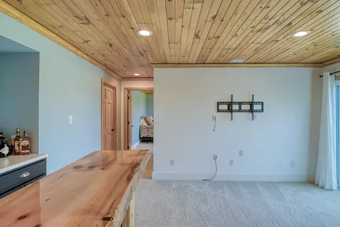 7519 E Mdws, Cedar, MI 49621 photo 37