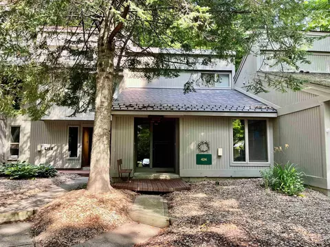 2500 Josef Strasse #3424, Bellaire, MI 49615