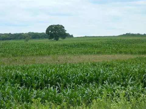 5900 S Coldwater Rd, Remus, MI 49340