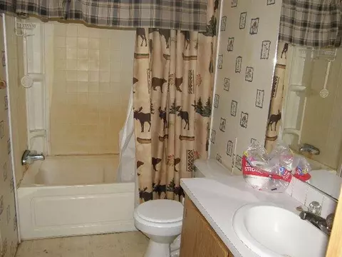 9045 E Lily Lk, Gladwin, MI 48624 photo 23