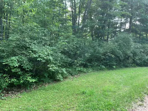 Pontchatrain Lot: 11, Roscommon, MI 49653