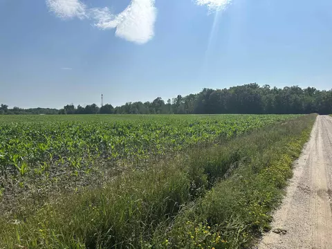 Vl Forest, Marion, MI 49665