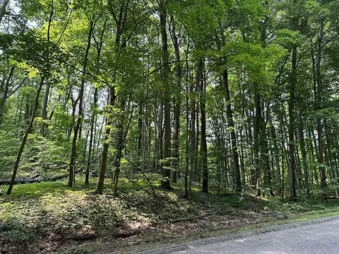 36 37 Courchevel #LOT : 36&37, Bellaire, MI 49615