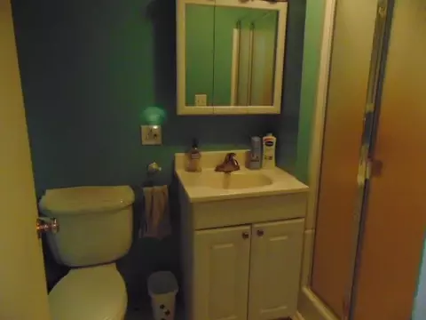 327 N Ithaca, Ithaca, MI 48847 photo 13