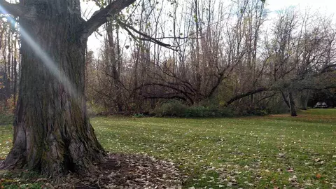 N/a S Main, Au Gres, MI 48703 photo 5