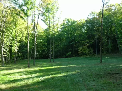 1780 SE Primrose, Fife Lake, MI 49633