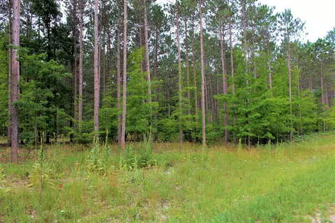 0 Thiel #LOT : A, Traverse City, MI 49685