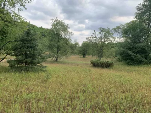 Parcel 17 Trail 33, Mancelona, MI 49659