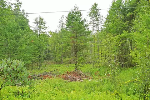 Parcel H F-30, Greenbush, MI 48738