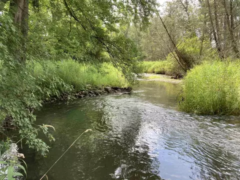 N/a Beechwood, Rose City, MI 48654
