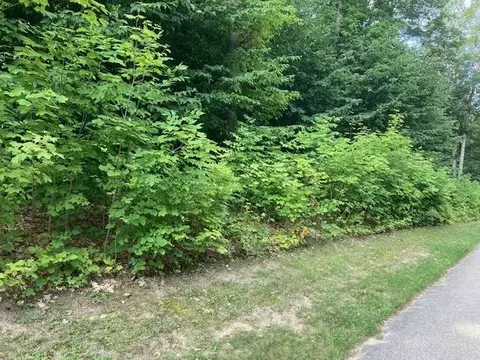 lot275 Robinson #LOT : 275, Bellaire, MI 49615