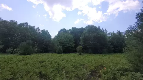 Parcel R SW Mueller, Fife Lake, MI 49633