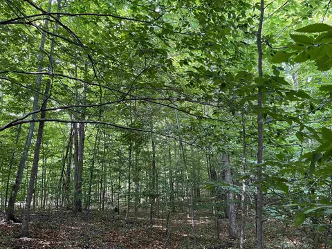 Wheeler Lot: N/a, Maple City, MI 49664