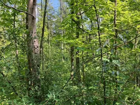 Fredmar, Interlochen, MI 49643