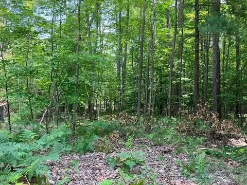 Fredmar, Interlochen, MI 49643 photo 13