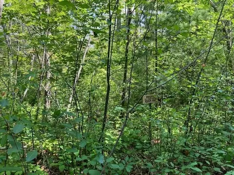 Fredmar, Interlochen, MI 49643 photo 3