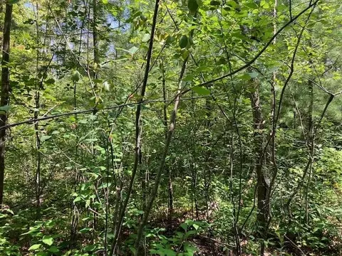 Fredmar, Interlochen, MI 49643 photo 6