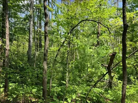 Fredmar, Interlochen, MI 49643 photo 12