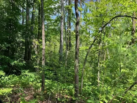 Fredmar, Interlochen, MI 49643 photo 11