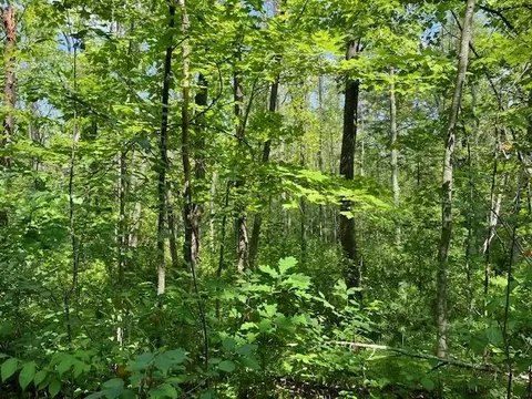 Fredmar, Interlochen, MI 49643 photo 4
