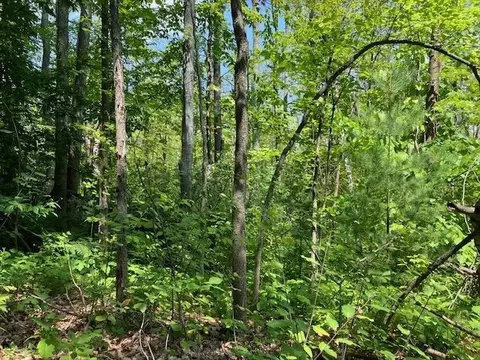 Fredmar, Interlochen, MI 49643 photo 10